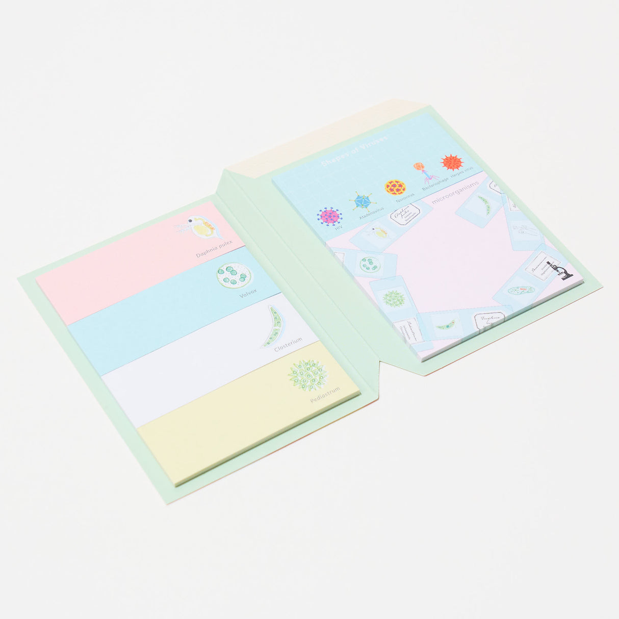 STUDY HOLIC Sticky Note Book / GreenFlash