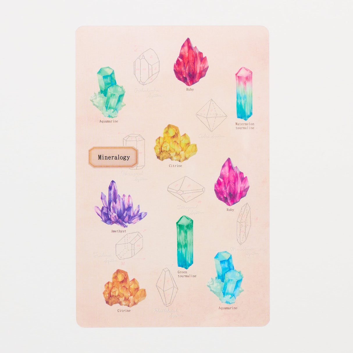 STUDY HOLIC Clear Bookmark / GreenFlash