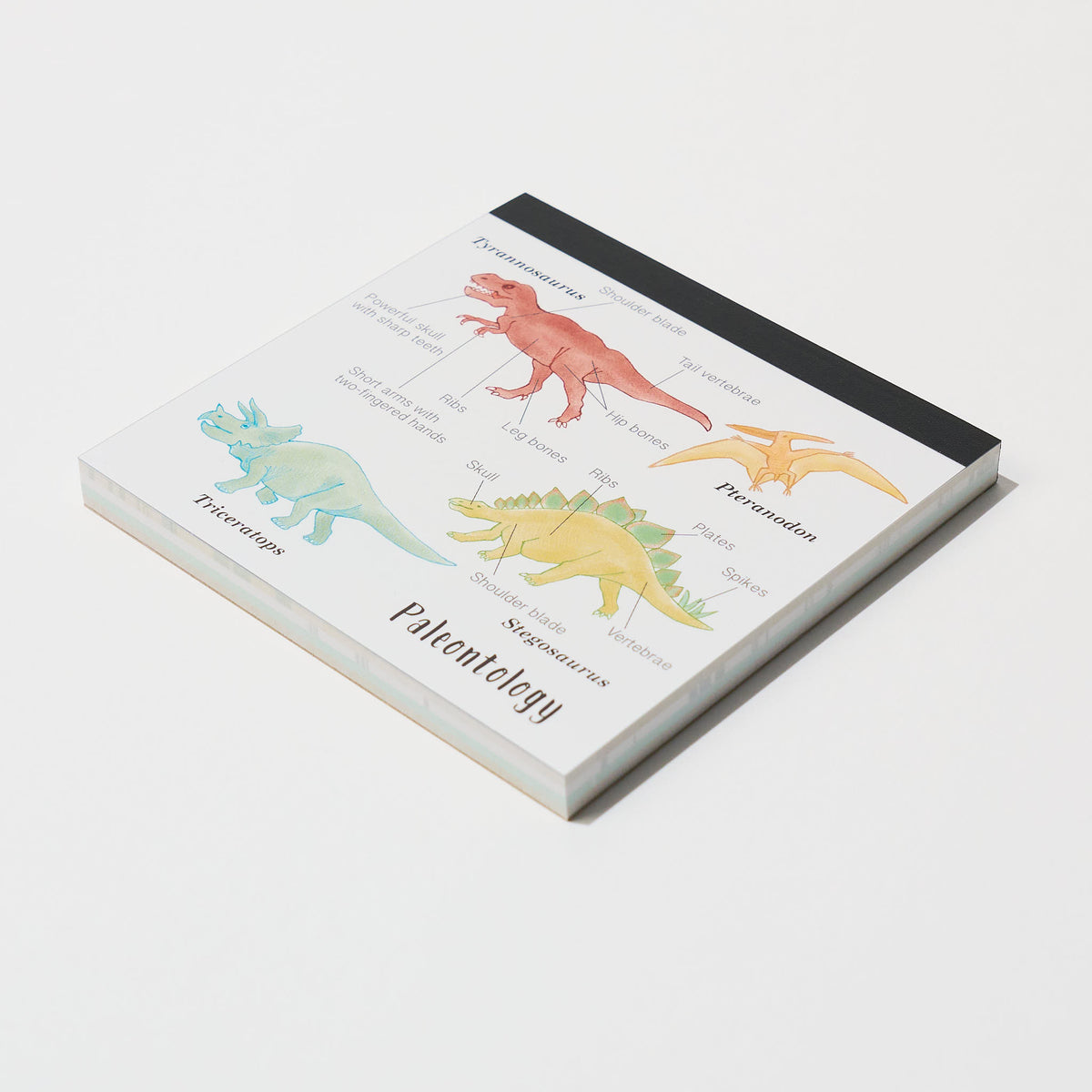 Study Pad Blocks STUDY HOLIC Memo Pad Square / GreenFlash – bungu
