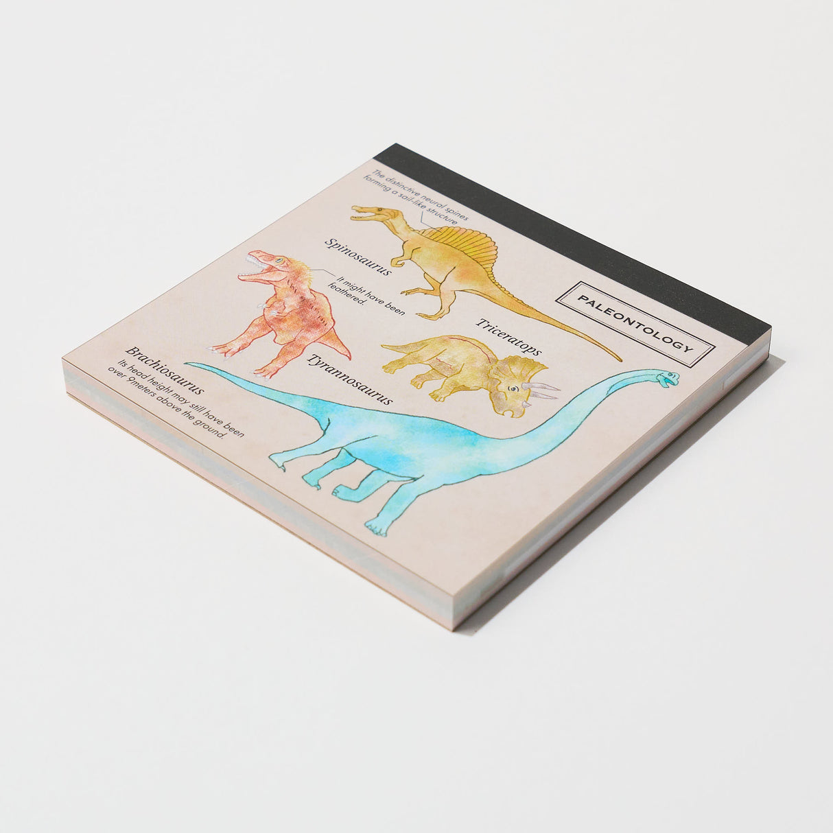 STUDY HOLIC Memo Pad Square / GreenFlash