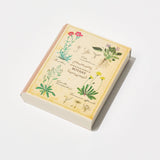 STUDY HOLIC Flake Stickers with Encyclopedia Case / GreenFlash