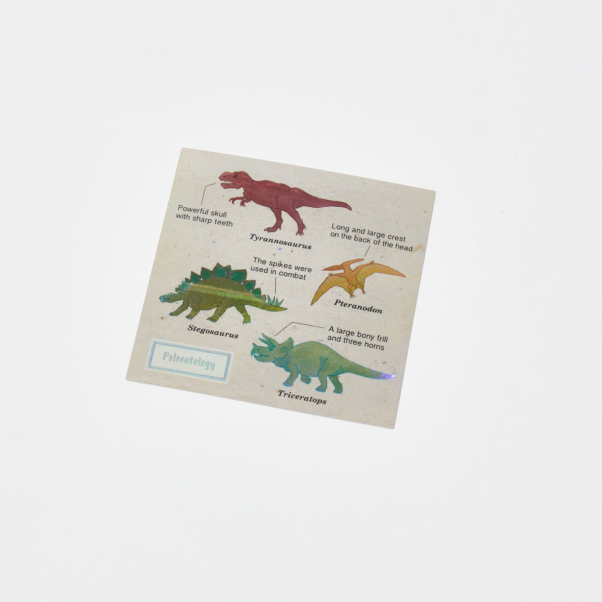 STUDY HOLIC Aurora Sticker / GreenFlash