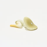 Mushroom Fairy Gacha Capsule