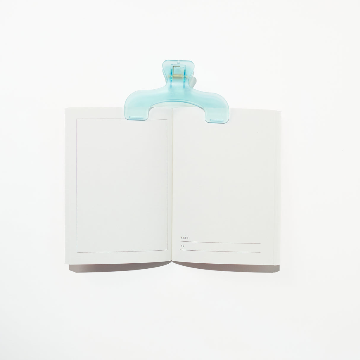 Tabi Comi Aquarium Visit Journal / archshop