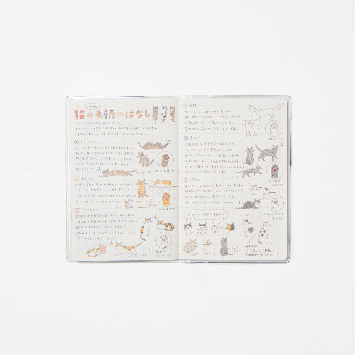 Cat Pocket Diary 2027 / MIDORI