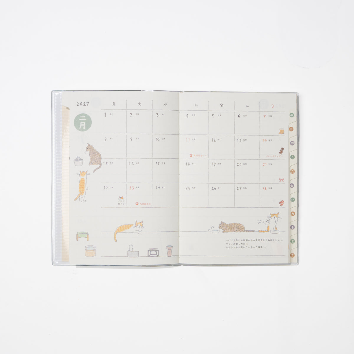 Cat Pocket Diary 2027 / MIDORI