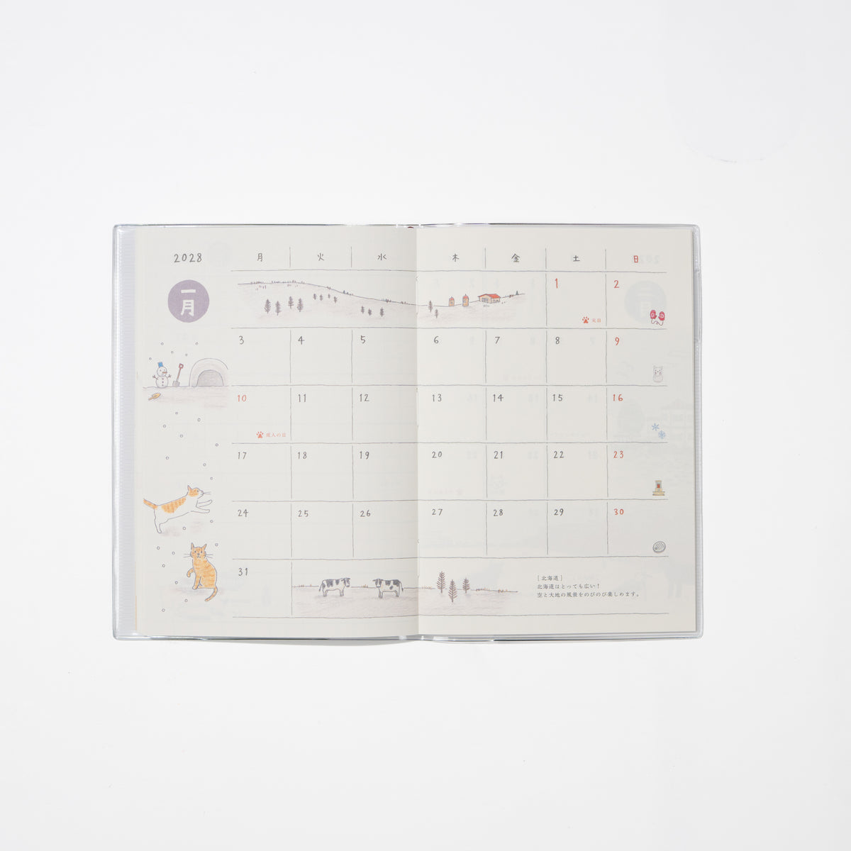 Cat Pocket Diary 2027 / MIDORI