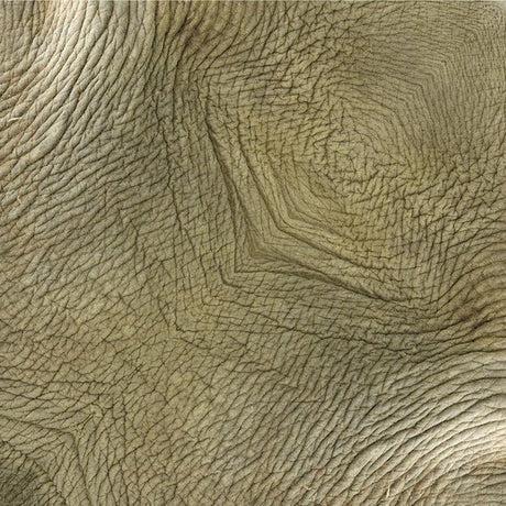 African Savannah Animal Origami Sets / Marumo Printing Stationery - bungu