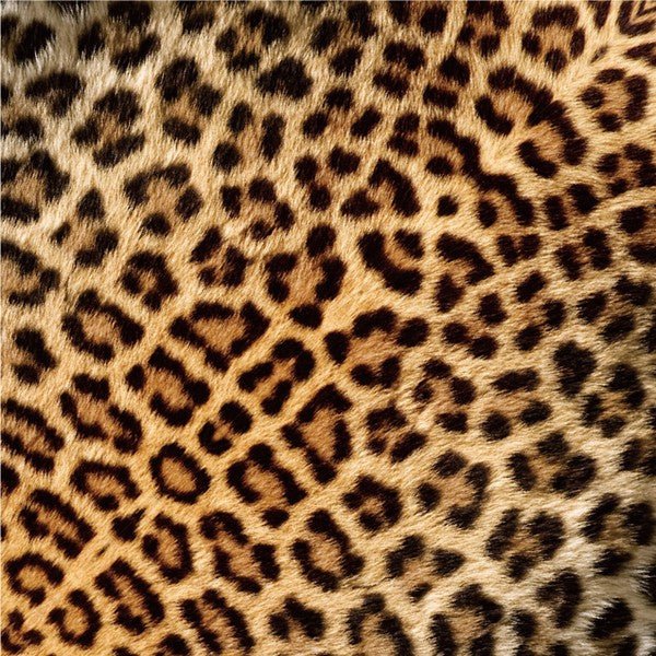 African Savannah Animal Origami Sets / Marumo Printing Stationery - bungu