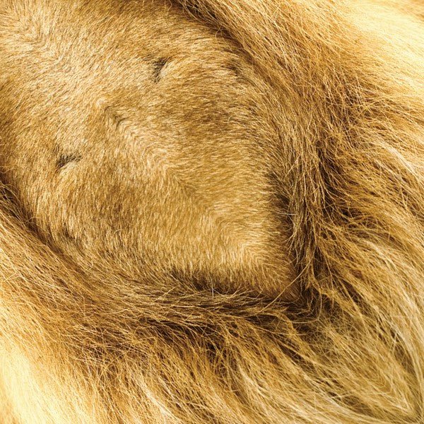 African Savannah Animal Origami Sets / Marumo Printing Stationery - bungu