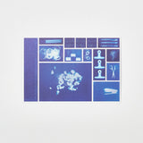 "All on Paper" Washi Postcard by Rika Muranushi / Bungu - bungu