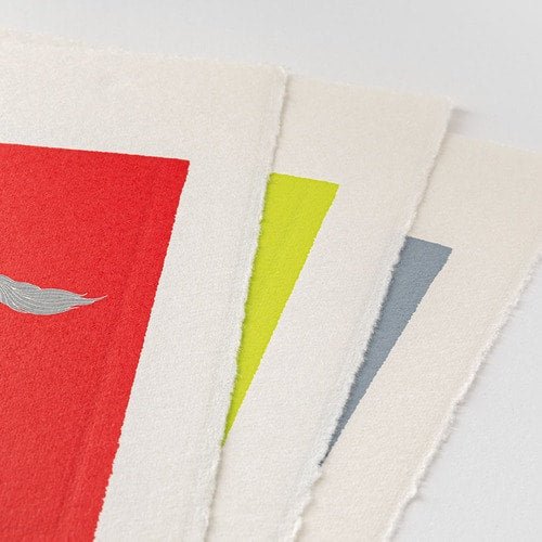 Animal Print Echizen Washi Paper Calendar 2026 / Midori DESIGNPHIL - bungu