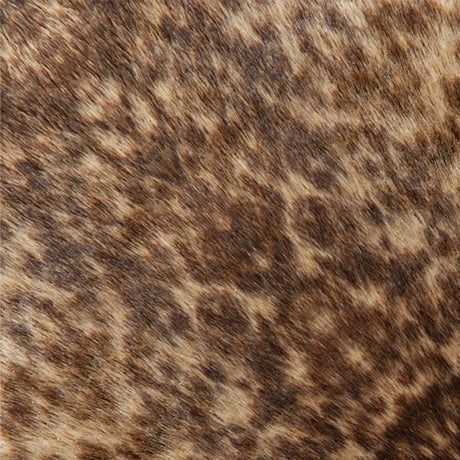 Arctic and Antartic Animal Origami Sets / Marumo Printing Stationery - bungu