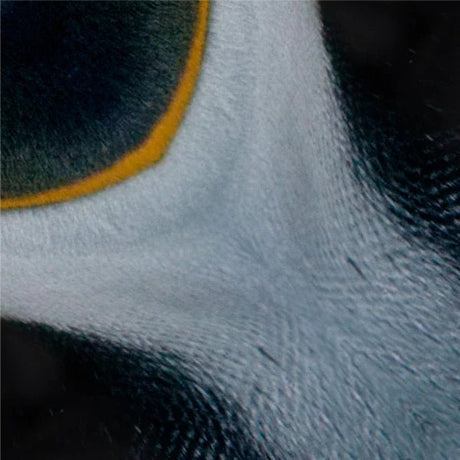 Arctic and Antartic Animal Origami Sets / Marumo Printing Stationery - bungu