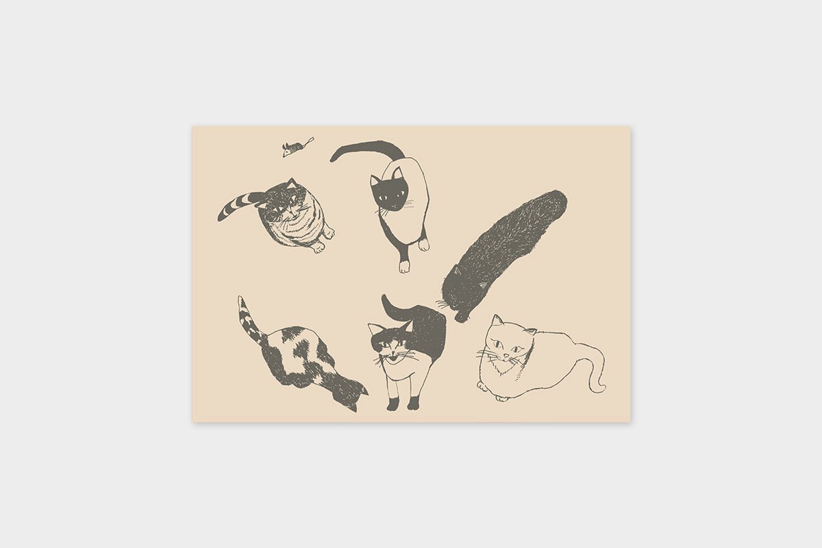 Art Touch Kanagawa Kamome Postcards / TOUCH & FLOW - bungu