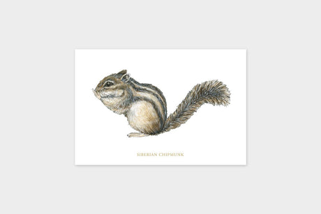 Art Touch Miltata Postcards/ TOUCH & FLOW - bungu