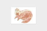 Art Touch Orie Kawamura Postcards / TOUCH & FLOW - bungu