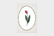 Art Touch pampeliska Floral Pattern Postcards / TOUCH & FLOW - bungu