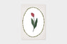 Art Touch pampeliska Floral Pattern Postcards / TOUCH & FLOW - bungu
