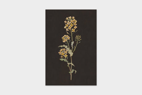 Art Touch Sasaki Megumi Floral Postcards / TOUCH & FLOW - bungu