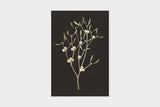 Art Touch Sasaki Megumi Floral Postcards / TOUCH & FLOW - bungu