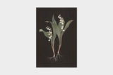 Art Touch Sasaki Megumi Floral Postcards / TOUCH & FLOW - bungu