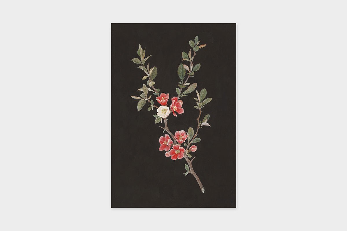 Art Touch Sasaki Megumi Floral Postcards / TOUCH & FLOW - bungu