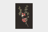 Art Touch Sasaki Megumi Floral Postcards / TOUCH & FLOW - bungu