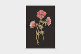 Art Touch Sasaki Megumi Floral Postcards / TOUCH & FLOW - bungu