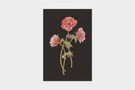 Art Touch Sasaki Megumi Floral Postcards / TOUCH & FLOW - bungu
