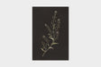 Art Touch Sasaki Megumi Floral Postcards / TOUCH & FLOW - bungu