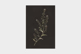 Art Touch Sasaki Megumi Floral Postcards / TOUCH & FLOW - bungu