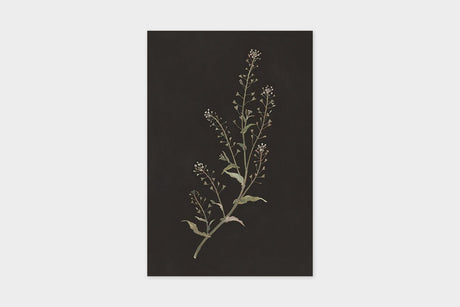 Art Touch Sasaki Megumi Floral Postcards / TOUCH & FLOW - bungu