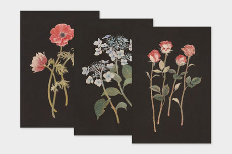 Art Touch Sasaki Megumi Floral Postcards / TOUCH & FLOW - bungu