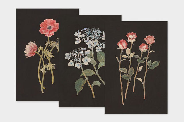 Art Touch Sasaki Megumi Floral Postcards / TOUCH & FLOW - bungu