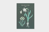 Art Touch Sato Nonoko Postcards / TOUCH & FLOW - bungu