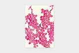 Art Touch Yuki Koida Postcards / TOUCH & FLOW - bungu