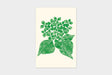 Art Touch Yuki Koida Postcards / TOUCH & FLOW - bungu