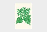 Art Touch Yuki Koida Postcards / TOUCH & FLOW - bungu