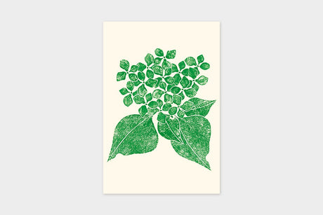 Art Touch Yuki Koida Postcards / TOUCH & FLOW - bungu