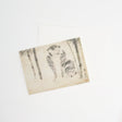 Bamboo and Tiger Greeting Card / Benrido - bungu