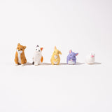 Blank Stare Animal Collection Gacha Capsule - bungu