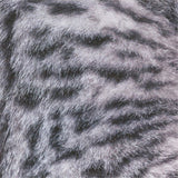 Cat Origami Set / Marumo Printing Stationery - bungu