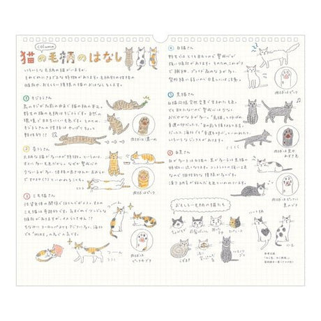 Cat Wall Calendar 2027 / MIDORI - bungu