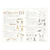 Cat Ring Desk Calendar 2027 / MIDORI
