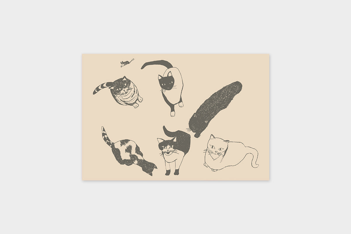 Art Touch Kanagawa Kamome Postcards / TOUCH & FLOW