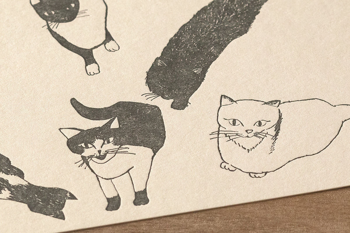 Art Touch Kanagawa Kamome Postcards / TOUCH & FLOW