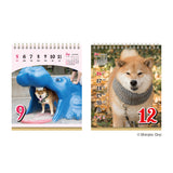 Chatty Shiba Inu Maru Daily Calendar 2027 / Shin Nihon Calendar - bungu