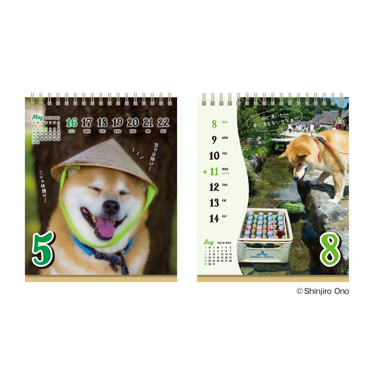 Chatty Shiba Inu Maru Daily Calendar 2027 / Shin Nihon Calendar - bungu