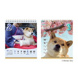 Chatty Shiba Inu Maru Daily Calendar 2027 / Shin Nihon Calendar - bungu